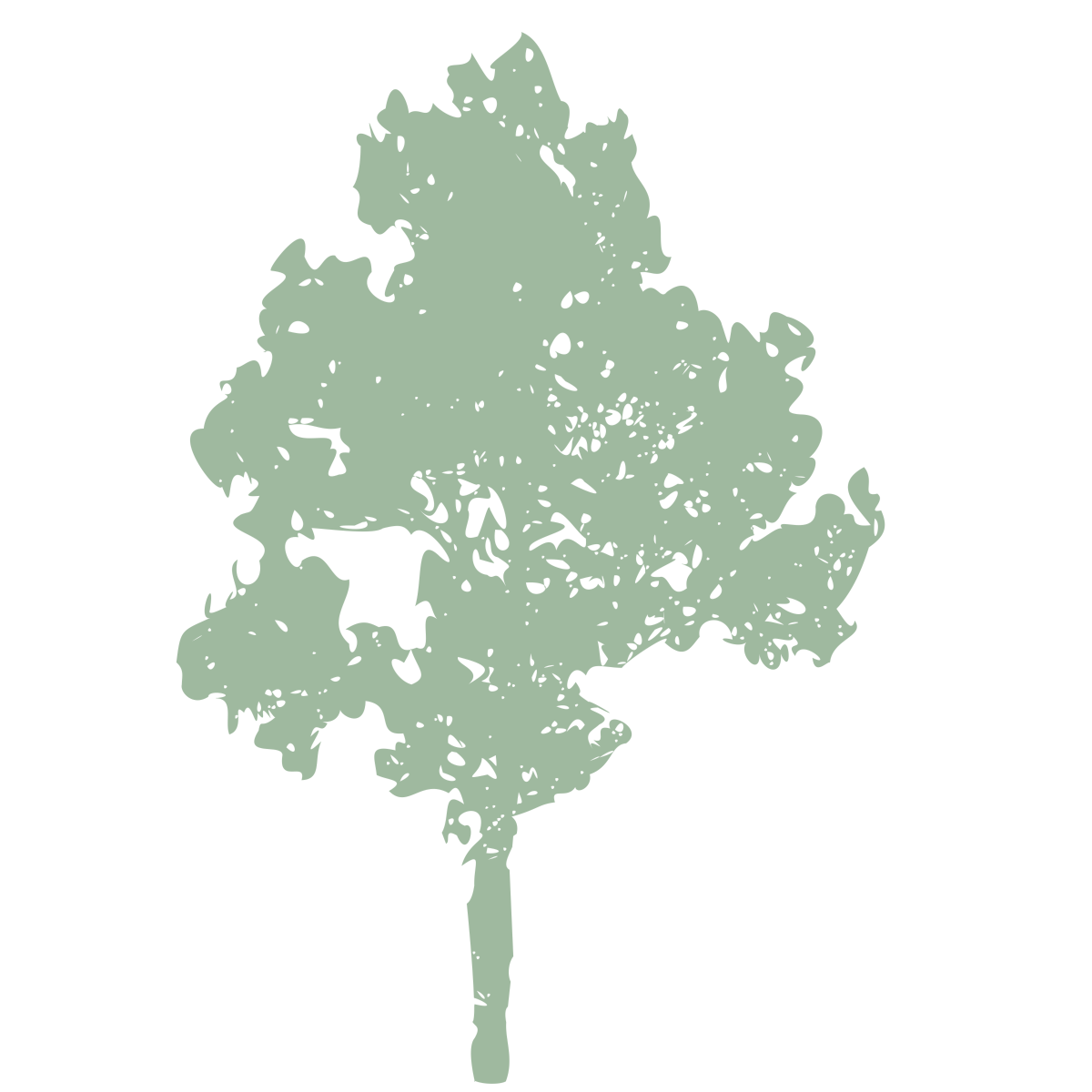 tree-10