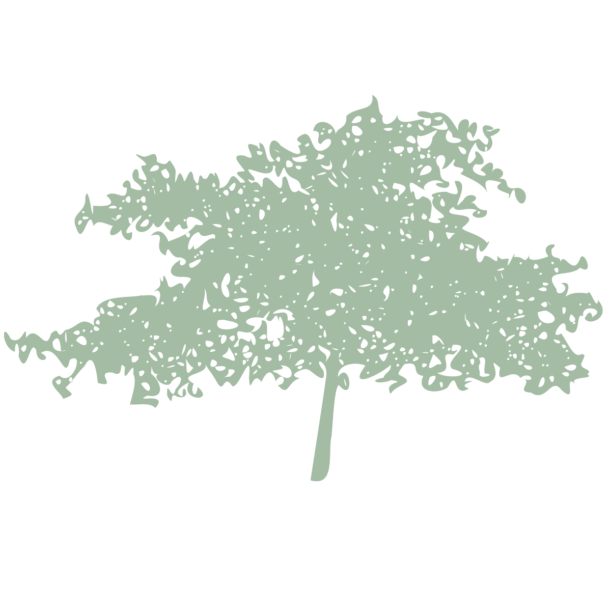 tree-11