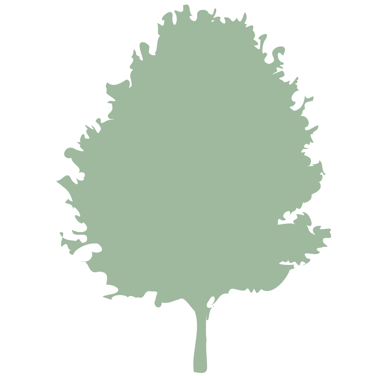 tree-12