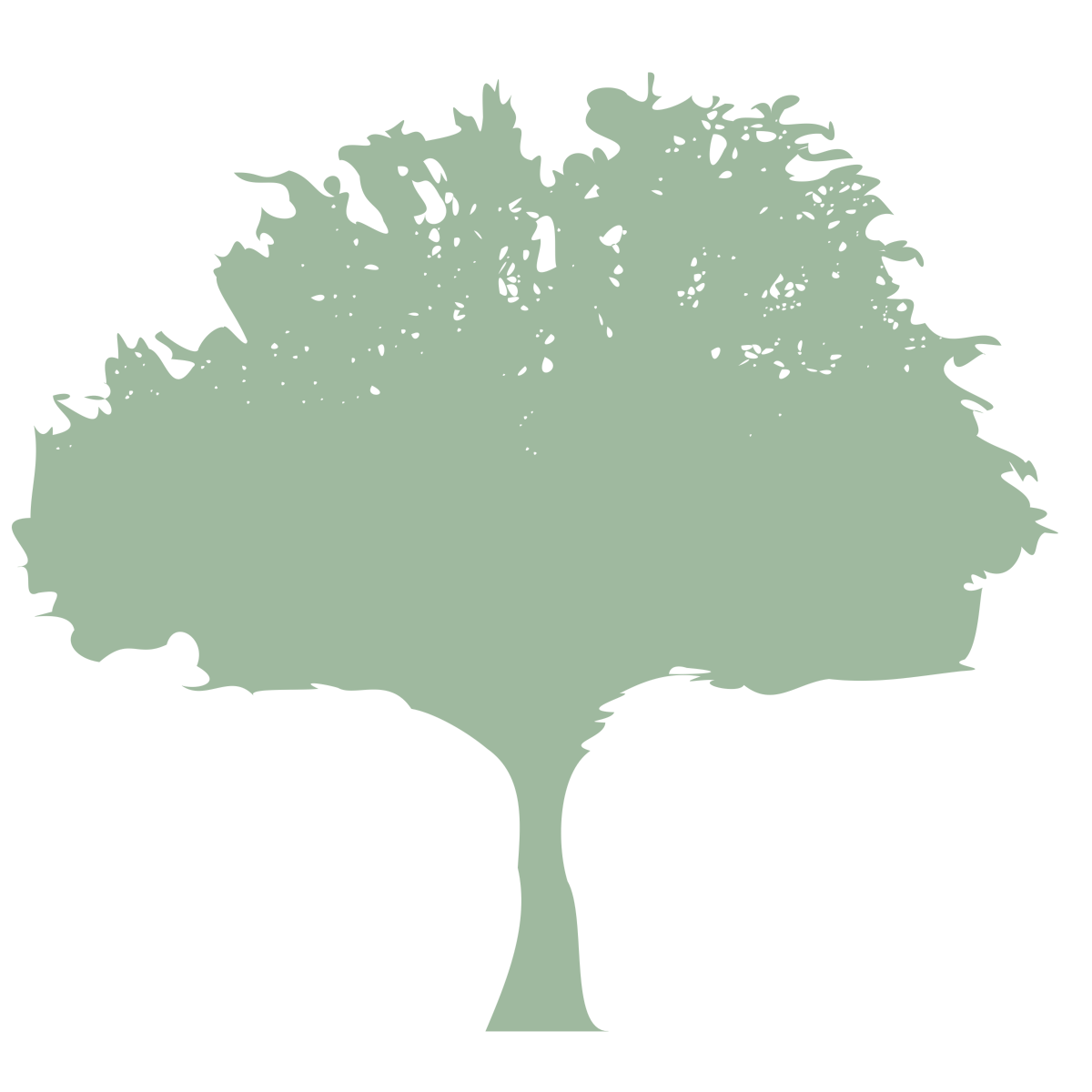 tree-6