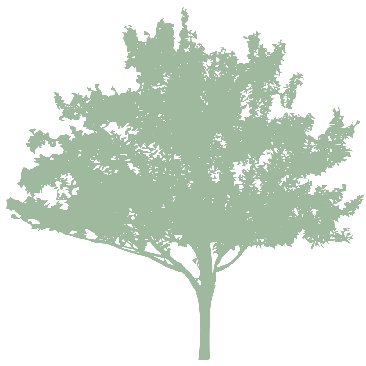 tree-7
