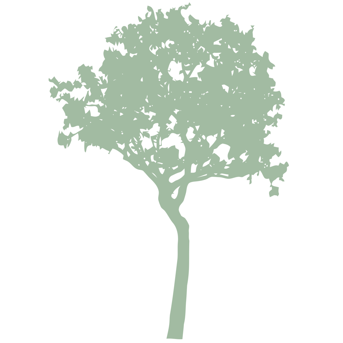 tree-9
